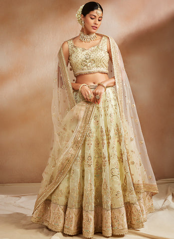 Party Wear Lehenga Choli Online ...